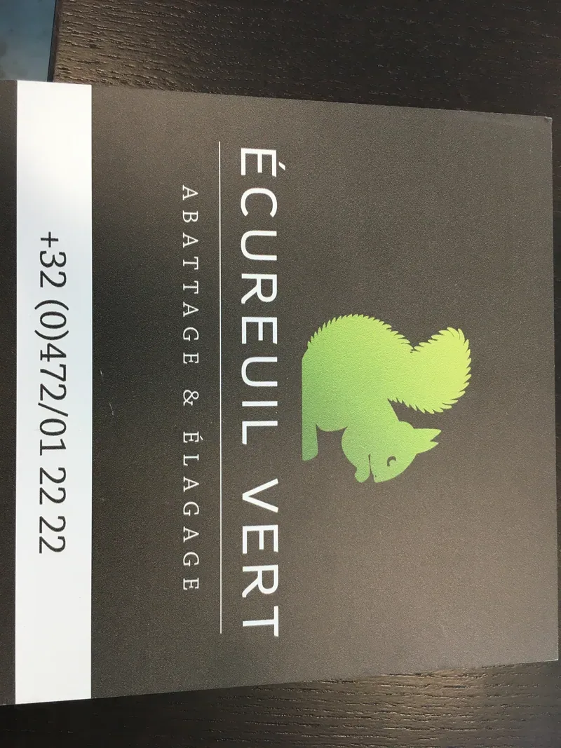 Plaque professionnelle logo écureuil vert, finition mate posée sur bois.
